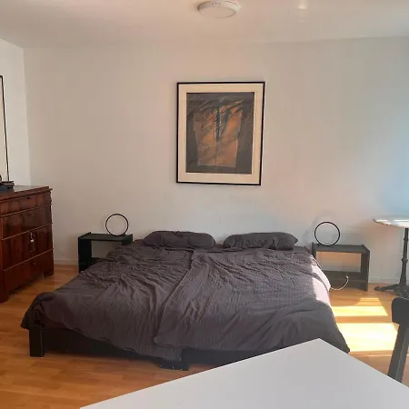 Zentrale Und Komfortable 1 Zkb Leipzig